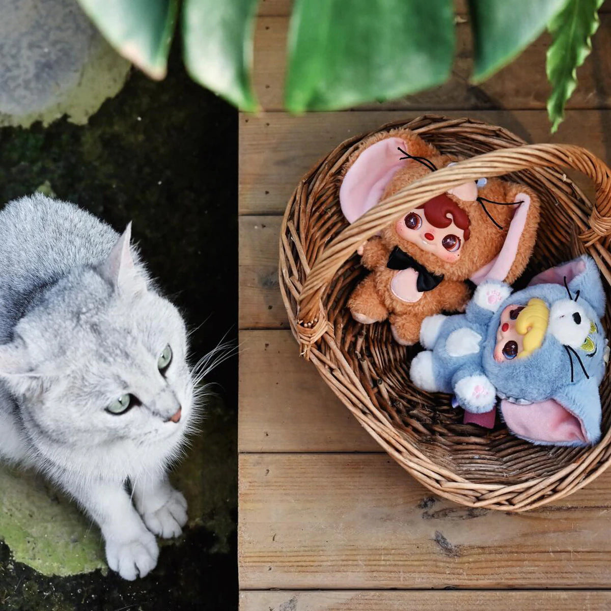 POUKAPOUKA Tom and Jerry costume plush toys in a basket beside a gray cat