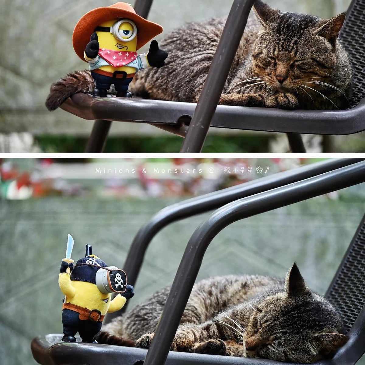 Cowboy James and Pirate Carl Minion plush toys posing beside a sleeping tabby cat