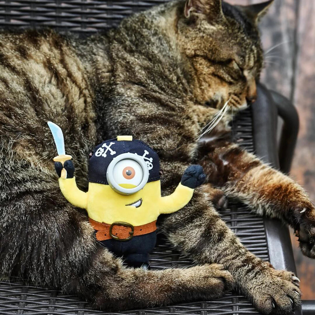 Pirate Carl Minion plush holding a sword beside a reclining tabby cat